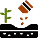 Semina
