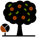 Alberi da frutto