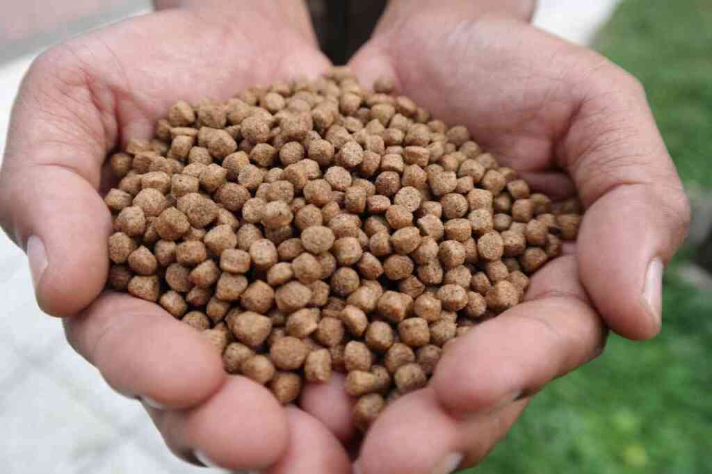 ​Stallatico: Un Fertilizzante Naturale per un Orto Biologico Rigoglioso