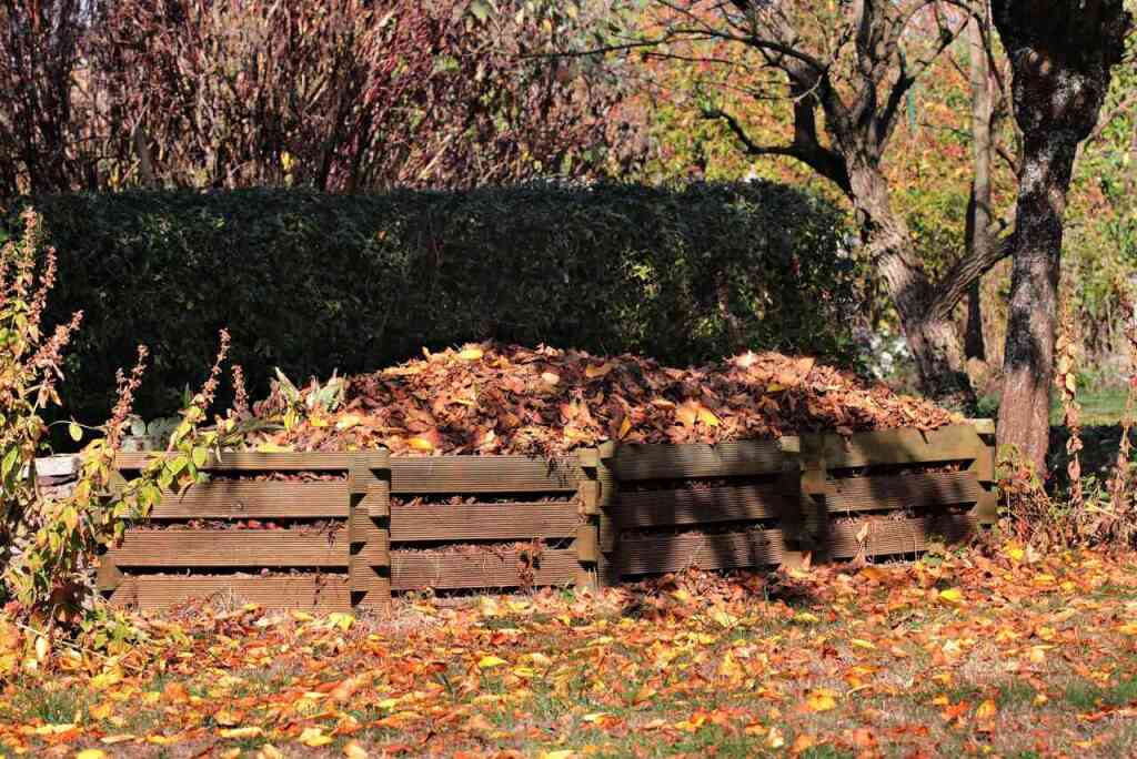 Compost: Guida su Come Concimare il Proprio Orto in Modo Sostenibile
