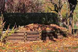 Compost: ​L'Oro Nero. Guida su Come Concimare il Proprio Orto in Modo Sostenibile