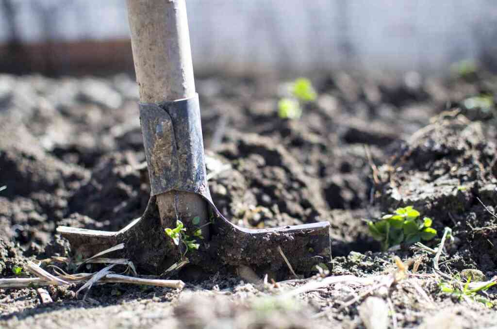 Attrezzi da Orto e Giardino: