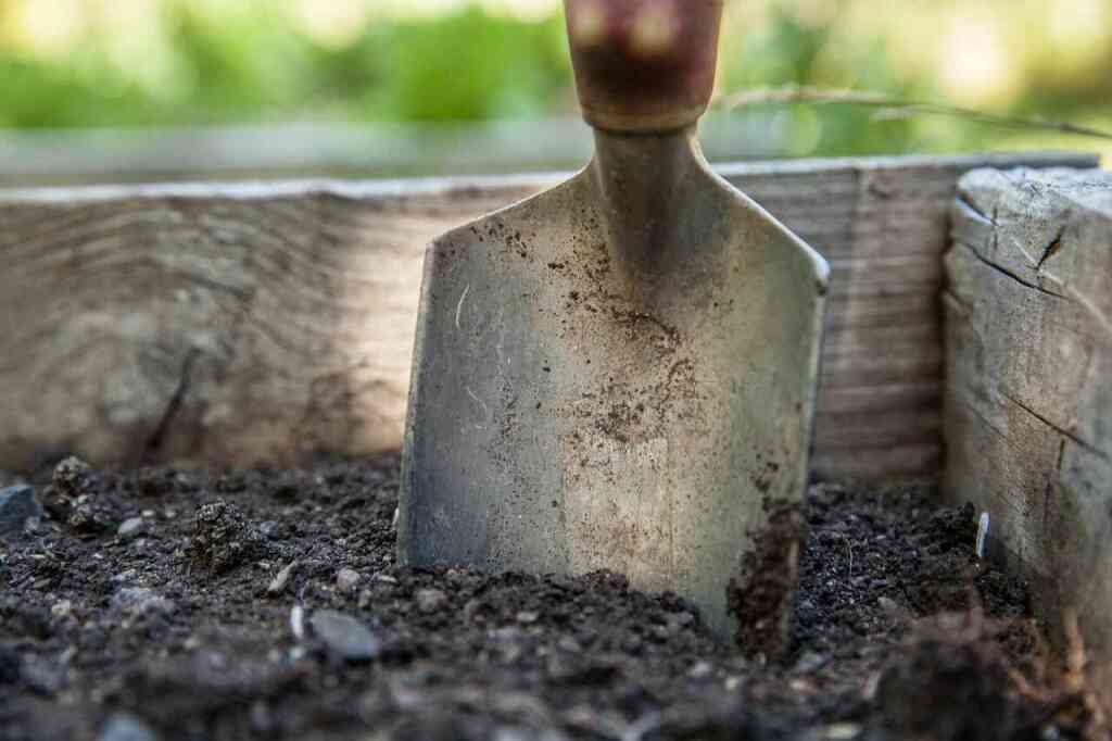 Miglior vanca per il tuo orto