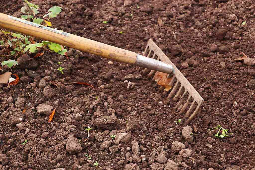  Come Scegliere il Rastrello Migliore per il Tuo Orto