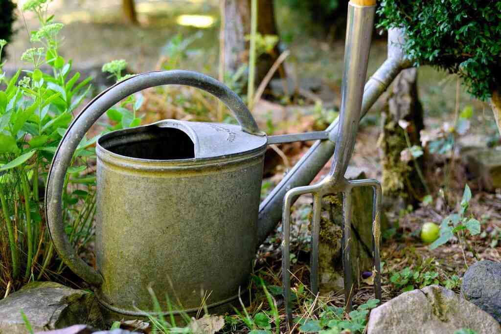  Come Scegliere l'Annaffiatoio Migliore per il Tuo Orto