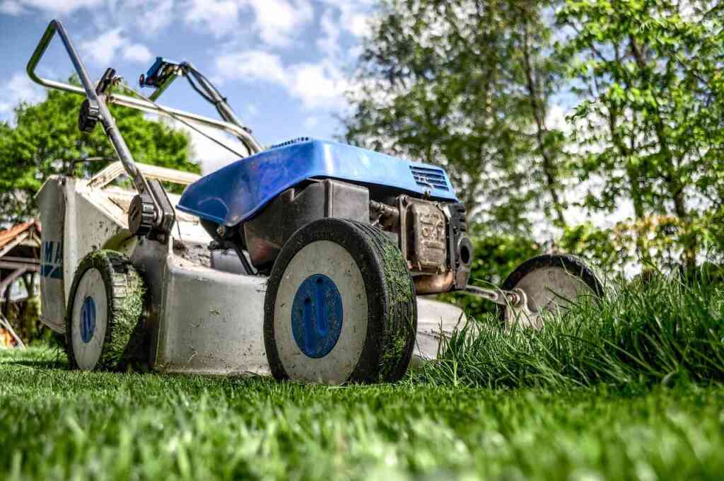  Guida all'Acquisto di un Tosaerba. Come scegliere la miglior falciatrice per il tuo orto