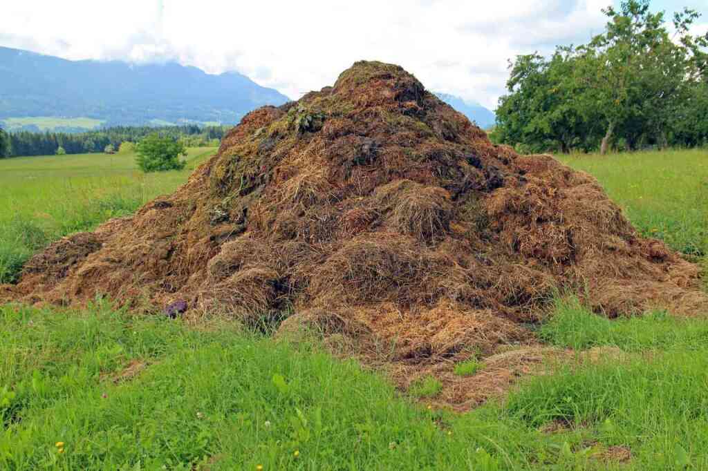 Come Concimare l'Orto: Guida all'Uso dei concimi biologici e e Fertilizzanti Naturali