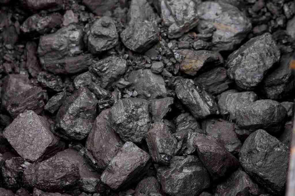Biochar: Un Ammendante Ecologico per l'Orto Biologico