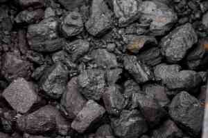 Biochar: Un Ammendante Ecologico per l'Orto Biologico
