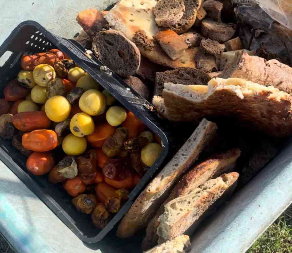 Il valore degli scarti alimentari nell'agricoltura dei nostri nonni
