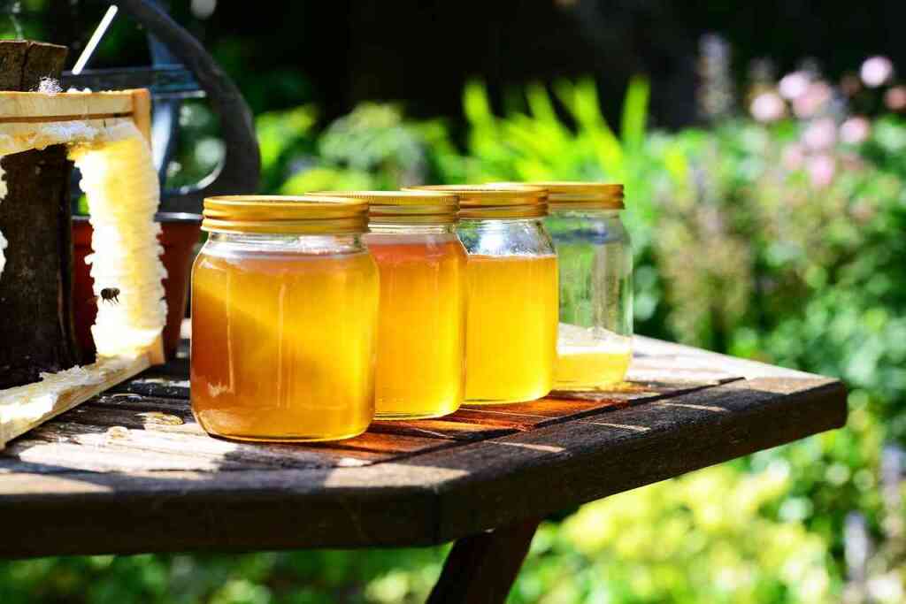 Produzione di Miele: Dalla Raccolta all'Imbottigliamento