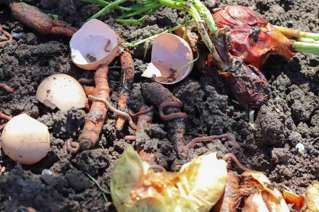 Come Creare un Vermicompost: Passaggi Pratici