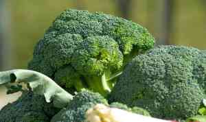 Come coltivare il cavolo broccolo: guida pratica per un raccolto abbondante