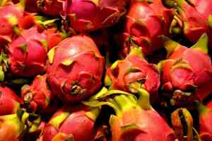 Potatura del frutto del drago (pitaya): come e quando farla per una produzione sana e abbondante